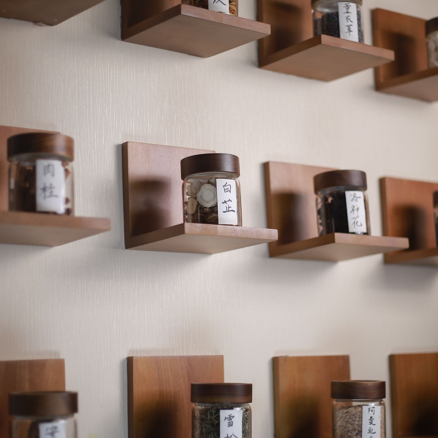 Various natural incense materials such as leaves, woods, and herbs arranged on a wall